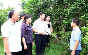 Lãnh đạo tỉnh Hưng Yên yêu cầu chính quyền hỗ trợ các trang trại