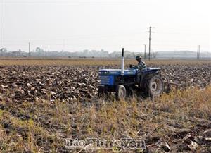 Chuẩn bị tốt các khâu phục vụ gieo cấy lúa xuân năm 2022