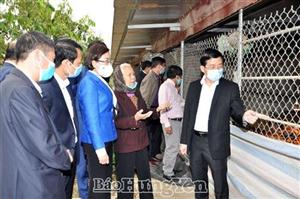 Đồng chí Nguyễn Duy Hưng, Phó Bí thư Thường trực Tỉnh ủy thăm một số mô hình kinh tế tại thị xã Mỹ Hào