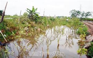 “Đón đầu” để đợi đền bù  giải phóng mặt bằng