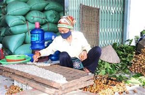 Hưng Yên: Nhộn nhịp nghề chế biến long nhãn