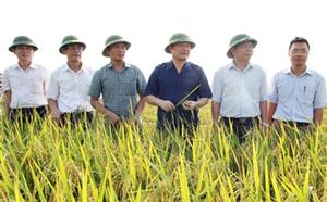 Chủ tịch UBND tỉnh Nguyễn Văn Phóng kiểm tra, chỉ đạo sản xuất nông nghiệp