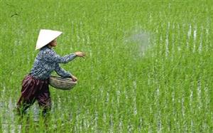 Bình ổn giá phân bón