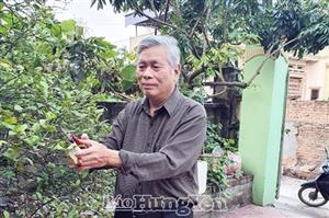 Niềm vui quê hương Tiên Lữ đổi mới