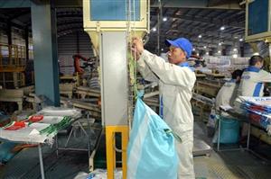 Công ty Cổ phần công nghệ dinh dưỡng Việt Nhật chăm lo đời sống người lao động