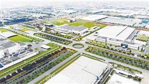 Bừng dậy mùa xuân