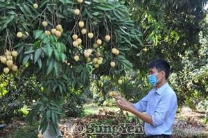 Sản xuất nông nghiệp Hưng Yên vượt khó, tăng trưởng khá