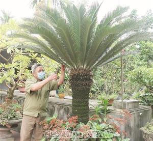 Một thời hoa lửa