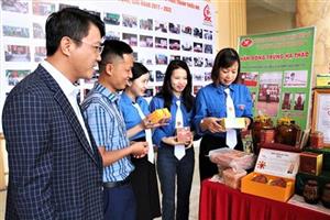 Thúc đẩy thực hiện chương trình, mục tiêu phát triển thanh niên