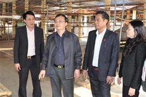 Bí thư Tỉnh ủy Đỗ Tiến Sỹ thăm và làm việc tại xã Hồng Quang và Vân Du