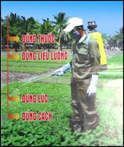 Hưng Yên: tăng cường công quản lý thuốc bảo vệ thực vật