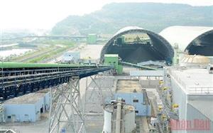 Tình hình cấp than cho sản xuất điện còn nhiều khó khăn