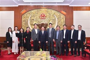 Chủ tịch UBND tỉnh Trần Quốc Văn làm việc với Tập đoàn SungWoo S.I Group (Hàn Quốc)