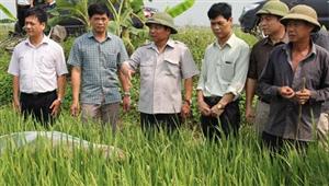 Kinh nghiệm xây dựng đội ngũ cán bộ ở tỉnh Hưng Yên (Bài 2)