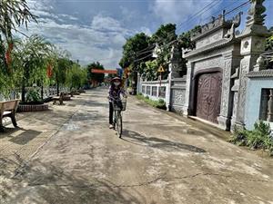 Nét đẹp những tuyến đường nông thôn mới kiểu mẫu