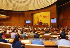 Trình Quốc hội bầu Chủ nhiệm các Ủy ban của Quốc hội khóa XIV