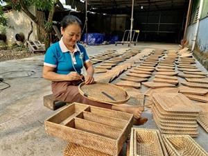 Những “bông hồng” làm kinh tế giỏi
