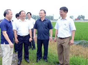 Bí thư Tỉnh ủy Đỗ Tiến Sỹ kiểm tra thực tế một số công trình, dự án phát triển kinh tế - xã hội trên địa bàn huyện Văn Lâm