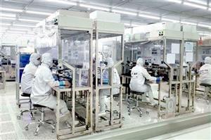 Việt Nam được đánh giá là điểm đến hứa hẹn với các công ty lớn