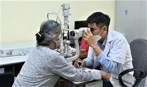 Chăm sóc, phát huy vai trò người cao tuổi