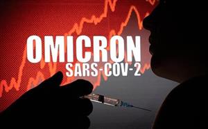 WHO: Biến thể phụ BA.2 của Omicron đang gây ra phần lớn ca mắc mới trên thế giới