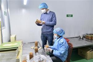 Người nâng tầm giá trị nông sản quê hương