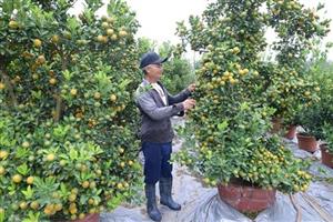 Xúc tiến tiêu thụ sản phẩm OCOP