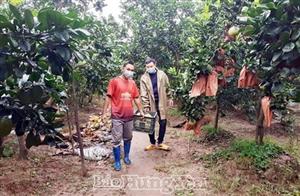 Thành phố Hưng Yên: Chuyển đổi cơ cấu cây trồng, nâng tầm sản xuất nông nghiệp