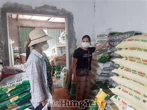 Giá phân bón tăng cao, nông dân lao đao