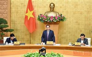 Sự phục hồi kinh tế-xã hội có tín hiệu tích cực