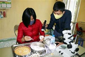 Hoạt động kiểm dịch thực vật