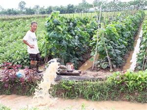 Hưng Yên: Khắc phục ảnh hưởng bão số 3