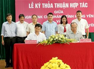 Hưng Yên: Thúc đẩy quan hệ tín dụng giữa ngân hàng với doanh nghiệp