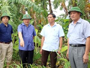 Lãnh đạo UBND tỉnh kiểm tra công tác phòng chống mưa, lũ