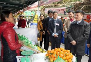 Chủ tịch UBND tỉnh Nguyễn Văn Phóng thăm Hội chợ Cam Hưng Yên năm 2017