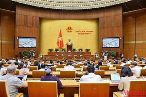 Tạo hành lang pháp lý cho quản lý, sử dụng tiết kiệm, hiệu quả, bền vững tài nguyên đất