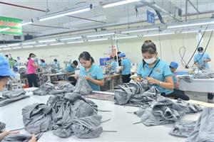 Ngành dệt may chủ động vượt qua thách thức