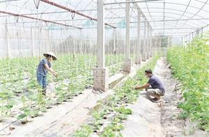 Khoái Châu trên đường đổi mới
