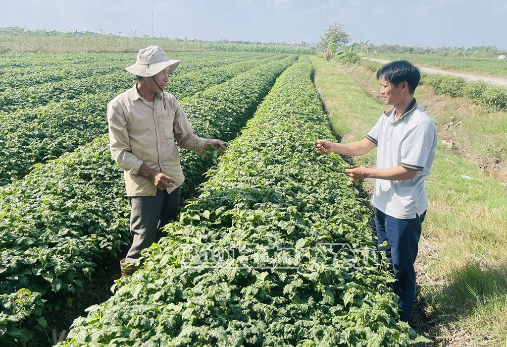 Sức bật mới ở xã Hưng Hà