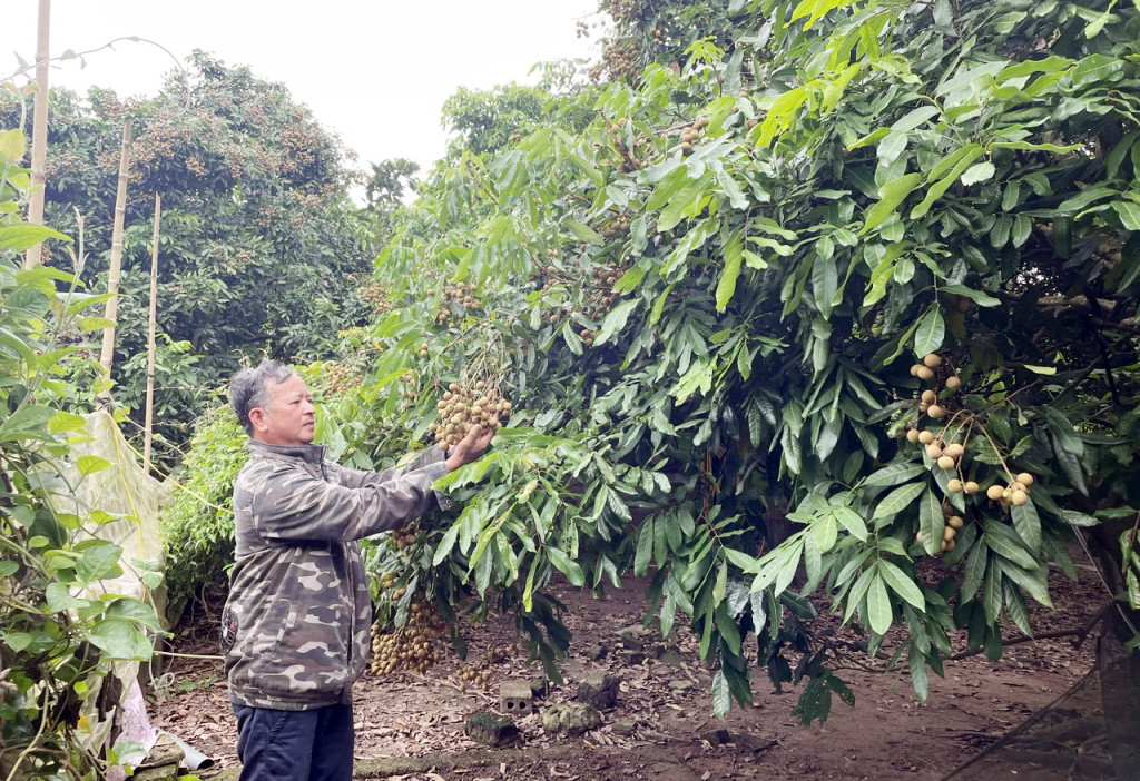 Cựu chiến binh xã Thụy Lôi thi đua làm theo lời Bác