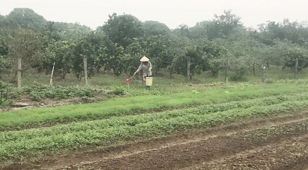 Ký ức mùa đông