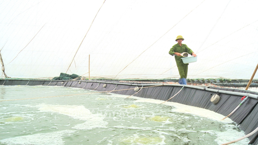 Sản lượng giống thủy sản đạt 1.315 triệu con