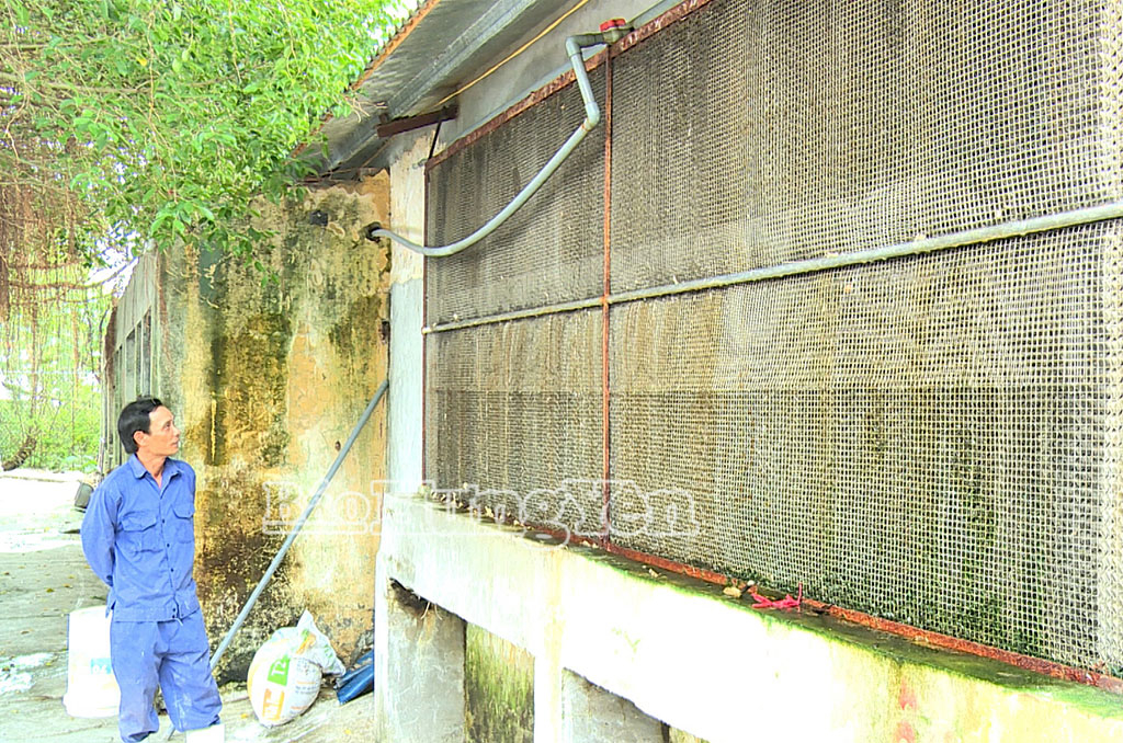 Tiết kiệm năng lượng, giảm thiểu ô nhiễm môi trường trong chăn nuôi