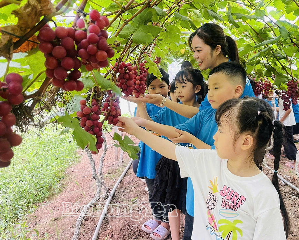 Xã Hồng Minh phát triển nông nghiệp gắn với du lịch trải nghiệm