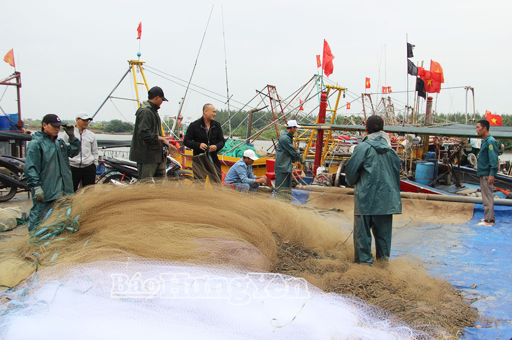 Ra khơi đánh bắt hải sản đầu năm