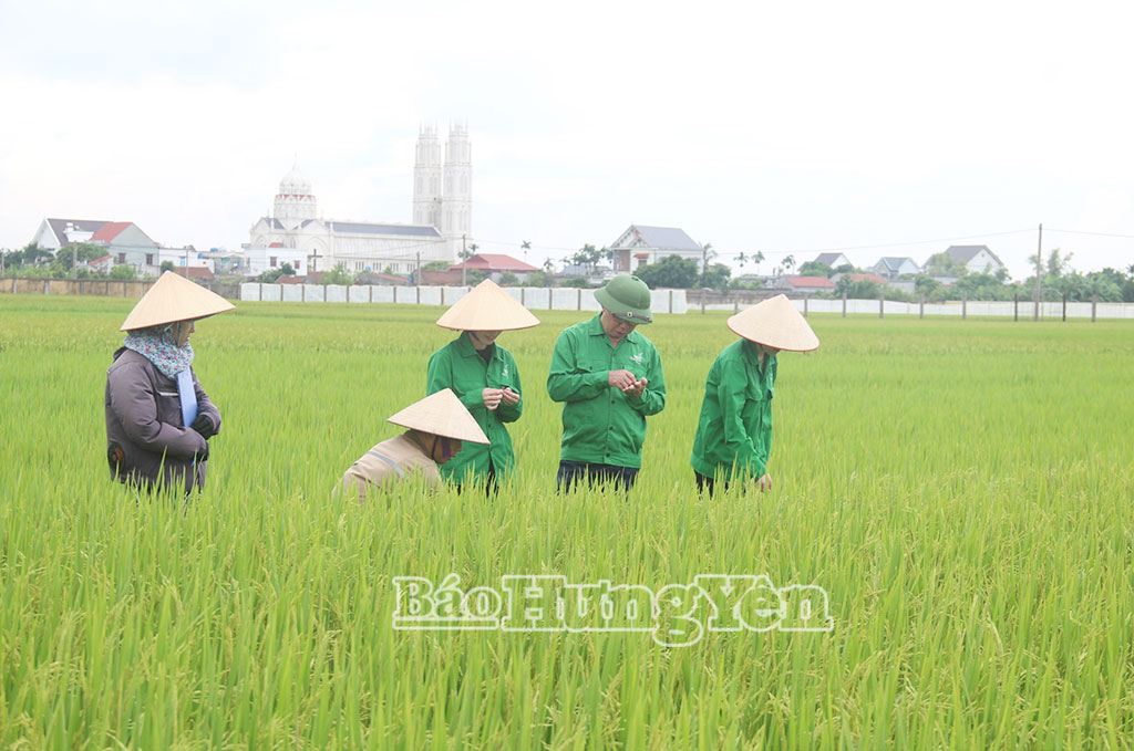 Dấu ấn từ cơ cấu lại ngành nông nghiệp