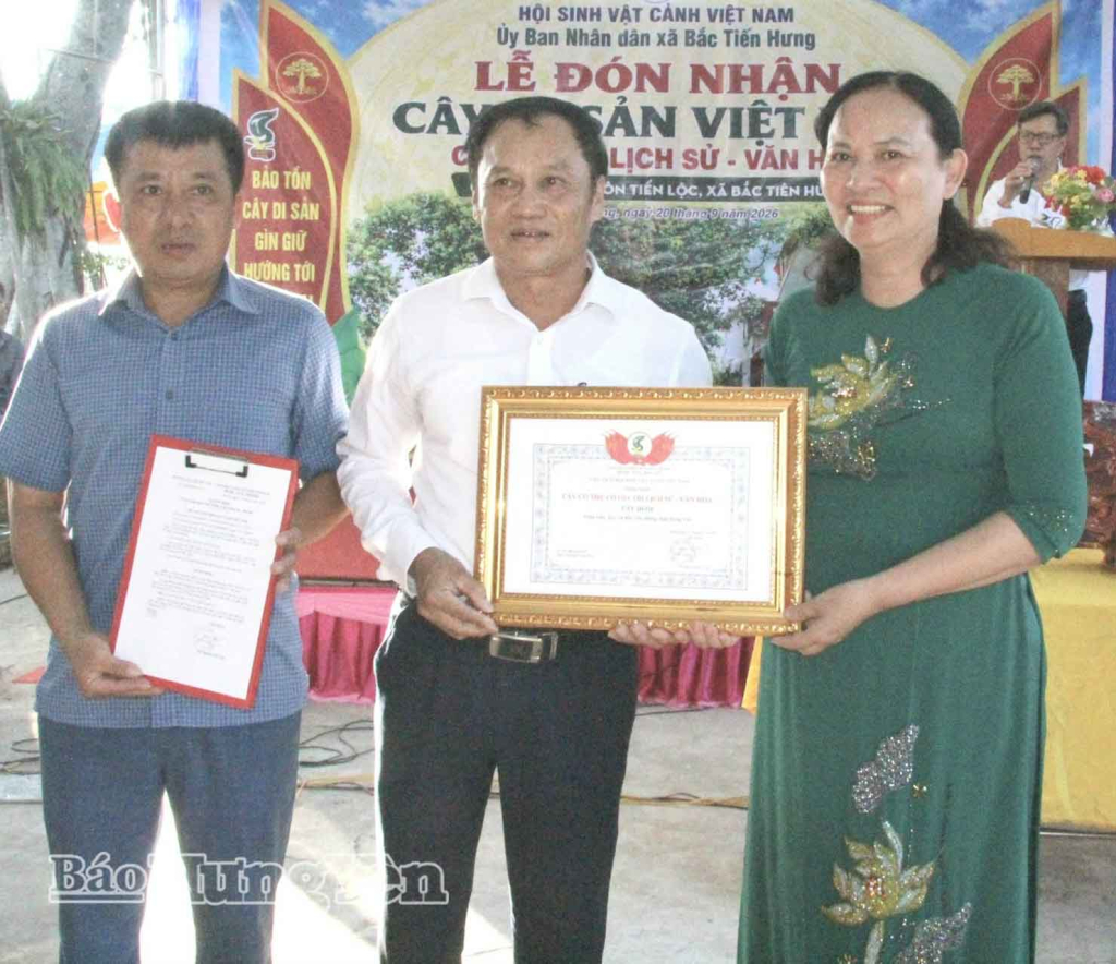 Xã Bắc Tiên Hưng: Đón Bằng công nhận cây duối là cây cổ thụ có giá trị lịch sử, văn hóa 
