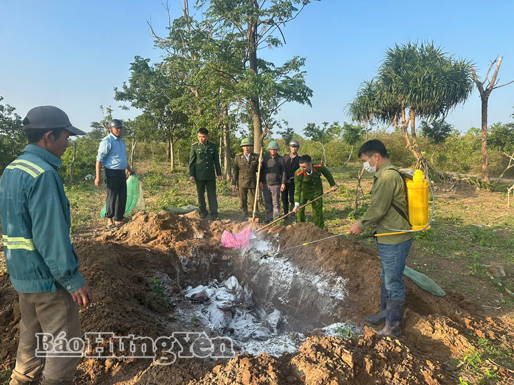 Tái thả và tiêu hủy động vật hoang dã tại xã Đông Thái Ninh