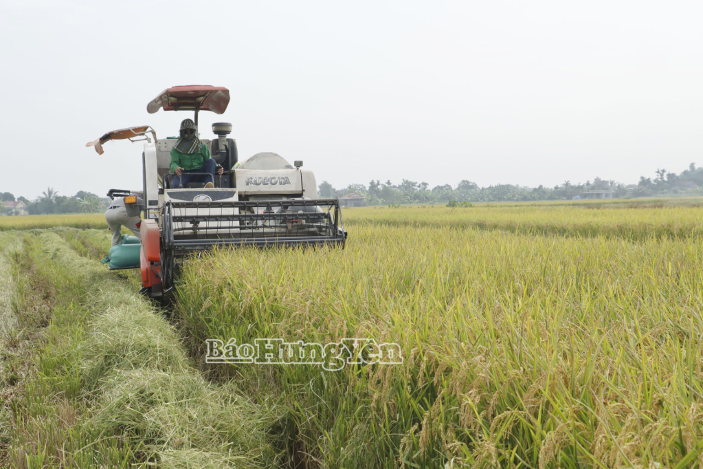 Bắc Đông Hưng: Nhiều giải pháp phát triển kinh tế, nâng cao thu nhập cho người dân