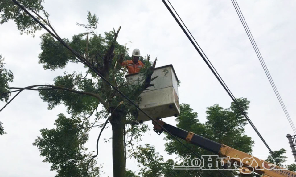Công ty Điện lực Hưng Yên chú trọng bảo đảm an toàn hành lang lưới điện